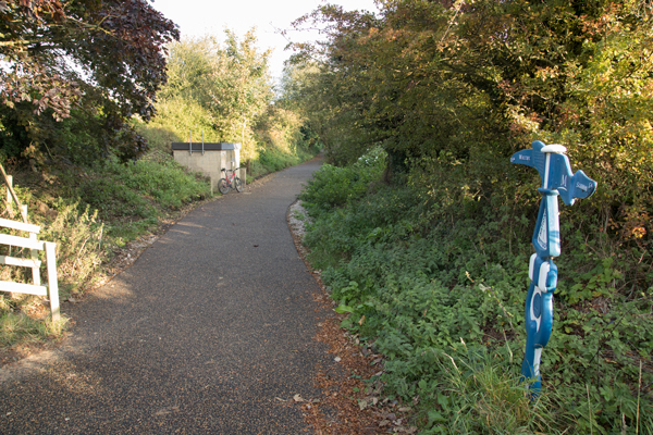 Resurfaced section of Cinder Track